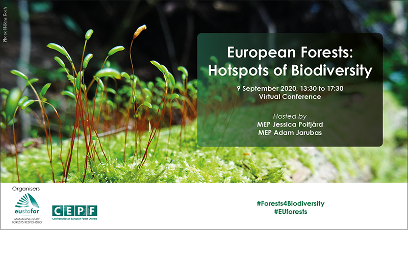 EUROPEAN_FORESTS_HOTSPOTS_OF_BIODIVERSITY