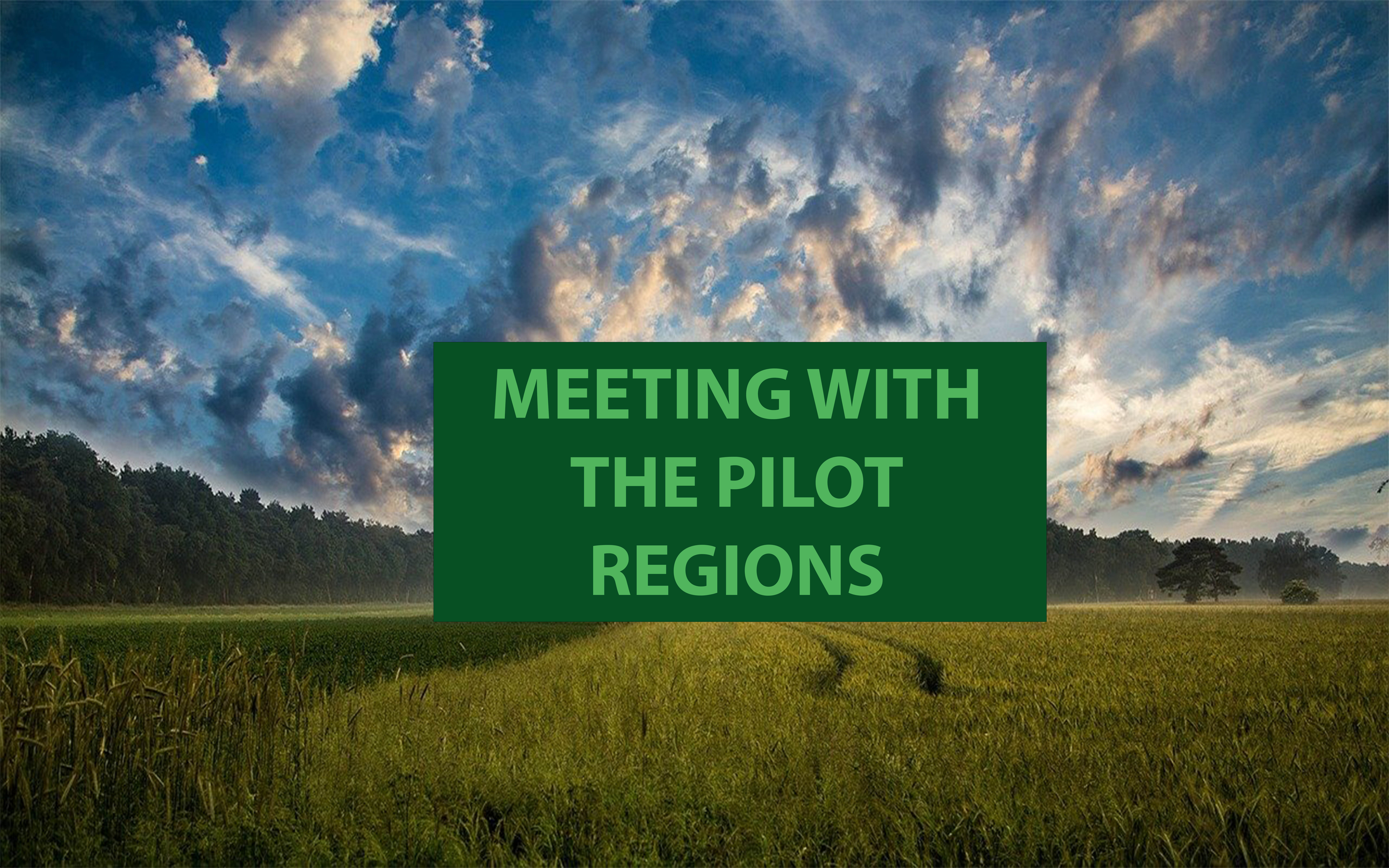 Meeting pilot regions
