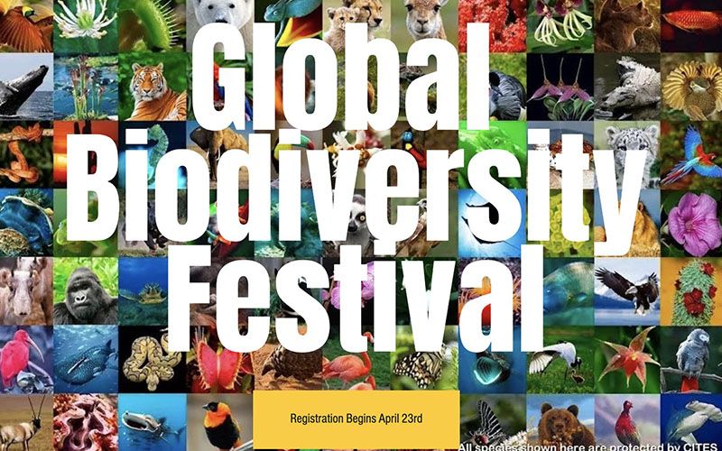 Global biodiversity festival